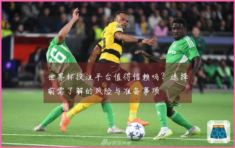 世界杯投注平台值得信赖吗？选择前需了解的风险与准备事项