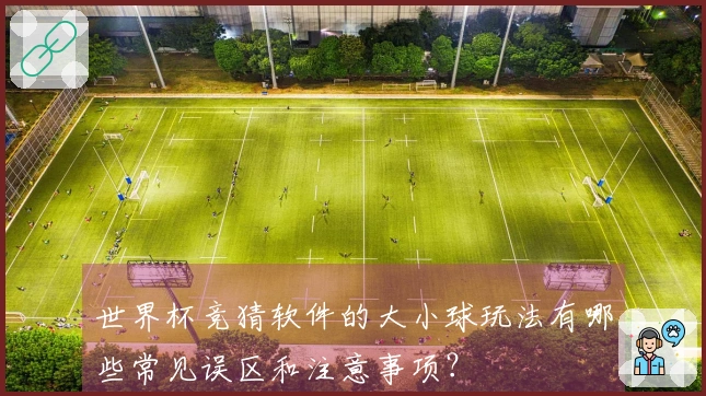 世界杯竞猜软件的大小球玩法有哪些常见误区和注意事项？