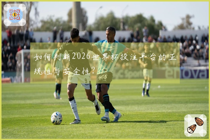 如何判断2026世界杯投注平台的正规性与安全性？