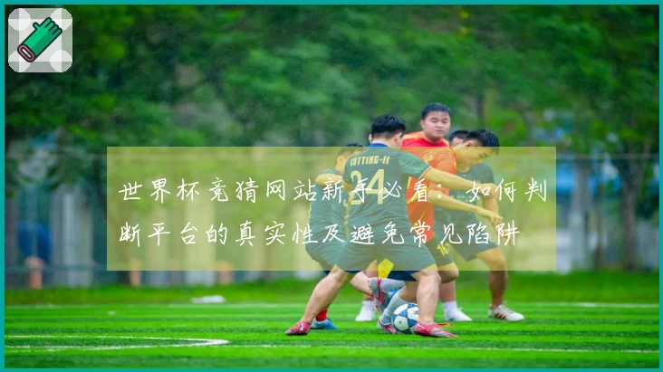 世界杯竞猜网站新手必看：如何判断平台的真实性及避免常见陷阱