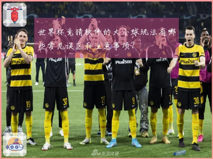 世界杯竞猜软件的大小球玩法有哪些常见误区和注意事项？
